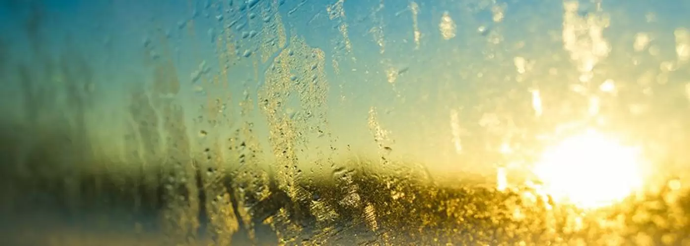 Pro Window Cleaner
