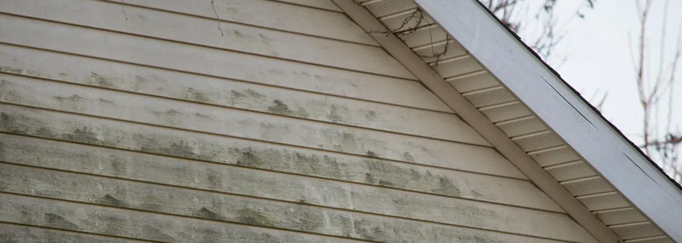 Bird Droppings On Your House Siding?