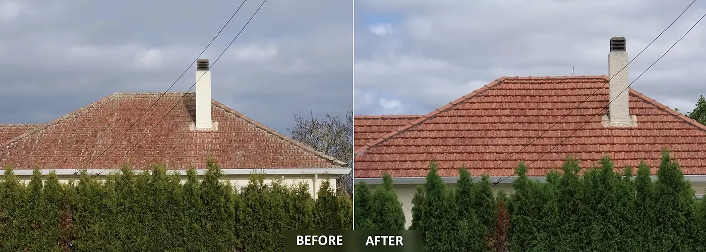 Clean roofs with no moss and no lichen in Newton