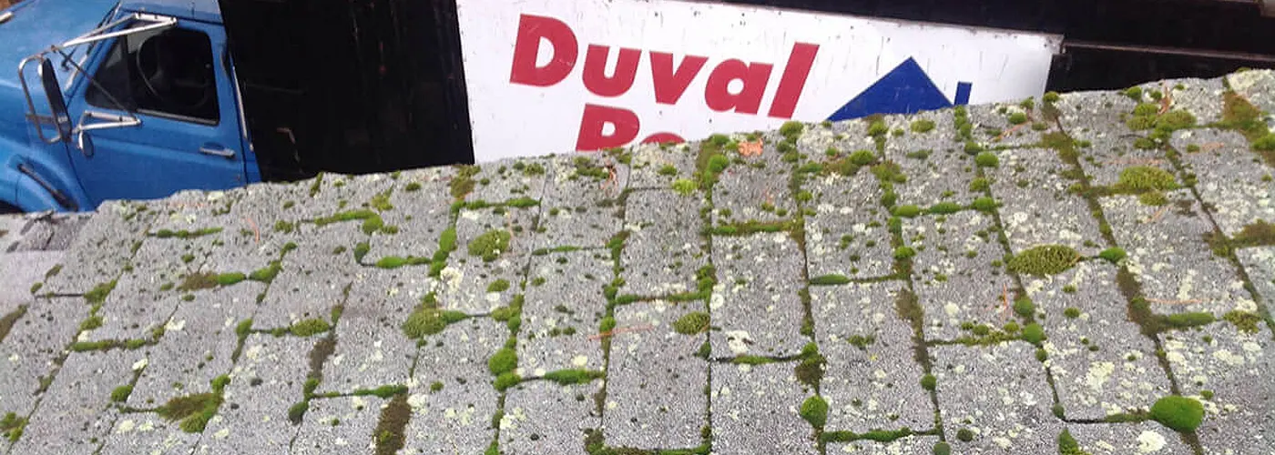 Everyone deserve a clean roof in Woburn MA