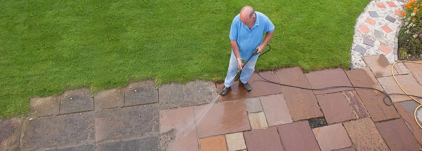 How Birds and Pressure Washing Relate