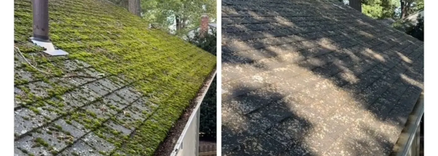 Roof Soft Washing in Reading, MA: Protect Your Home the Right Way