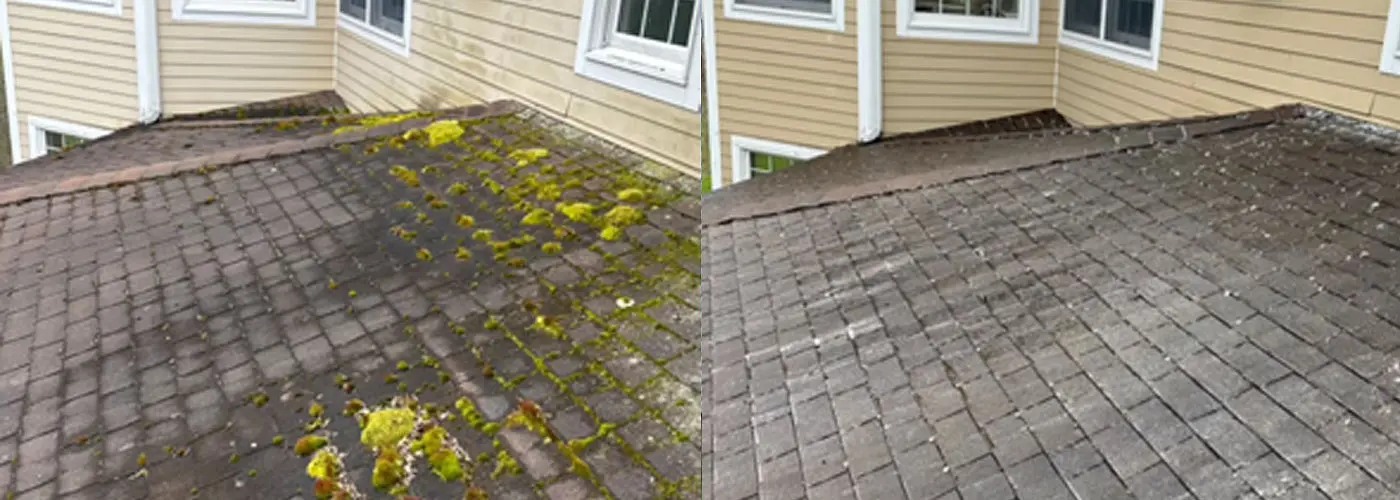 Is Your Insurance Company Making You Clean Your Roof?