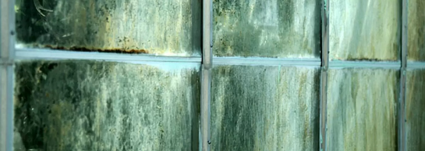 Know Your Windows