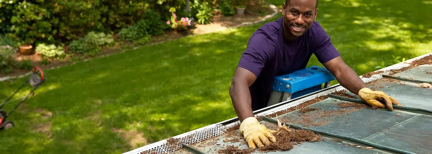 Maintaining Clear Gutters