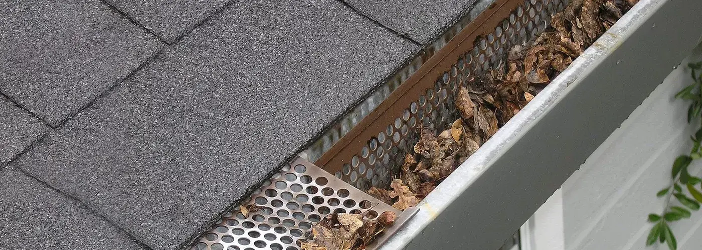 Oh No! Clogged Gutters?!