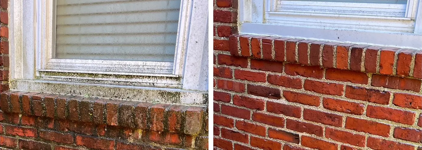 Restoring the Beauty of a Brick Home: Pressure Washing and Roof Mold Removal in Chestnut Hill, MA