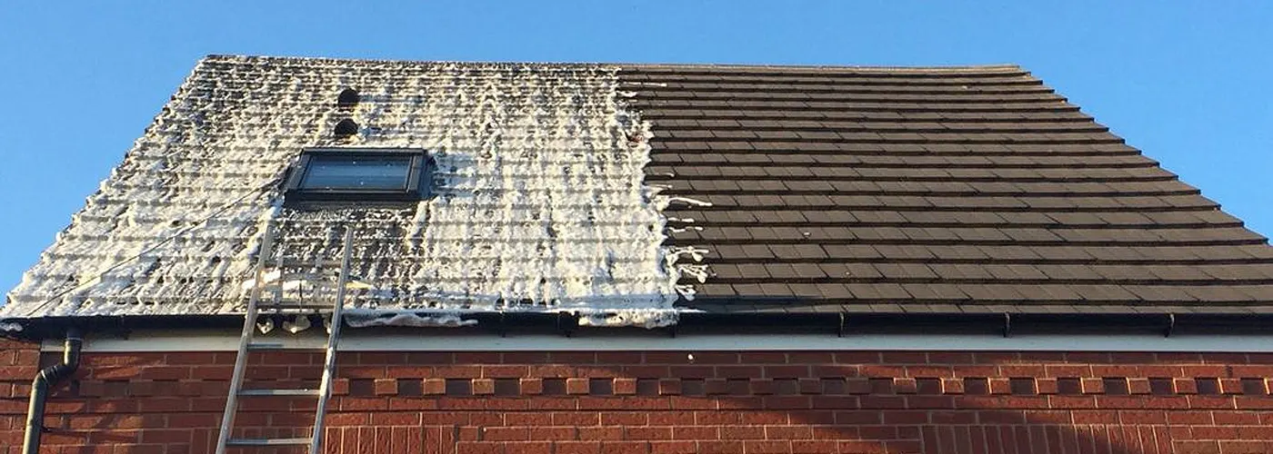 Roof Cleaning Treatment