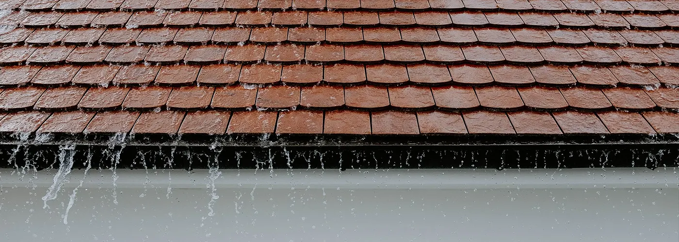 Roof Cleaning