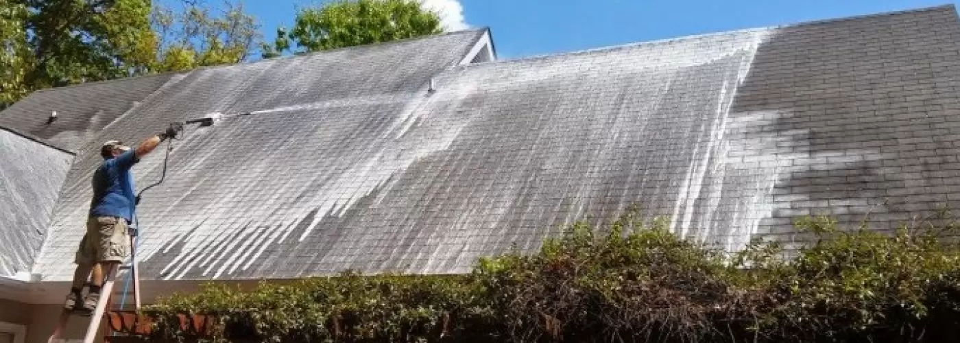Roof Soft Washing