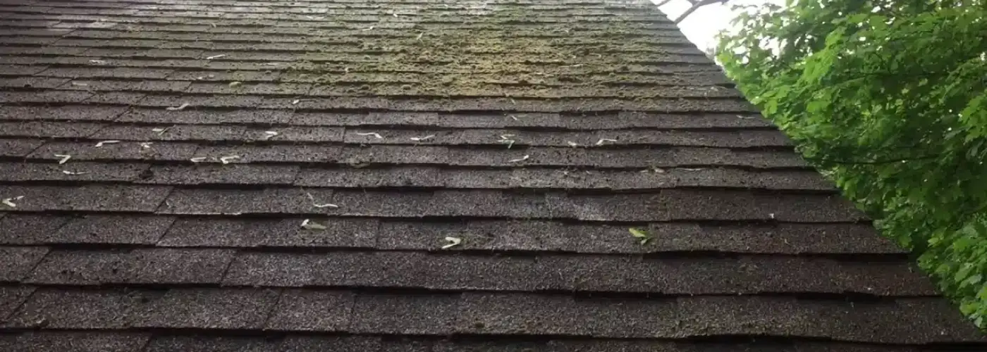 Roof washing in Hamilton, MA was inevitable