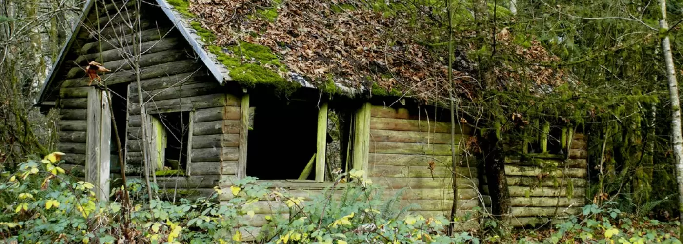 Save money by cleaning your roof with HiCleaners
