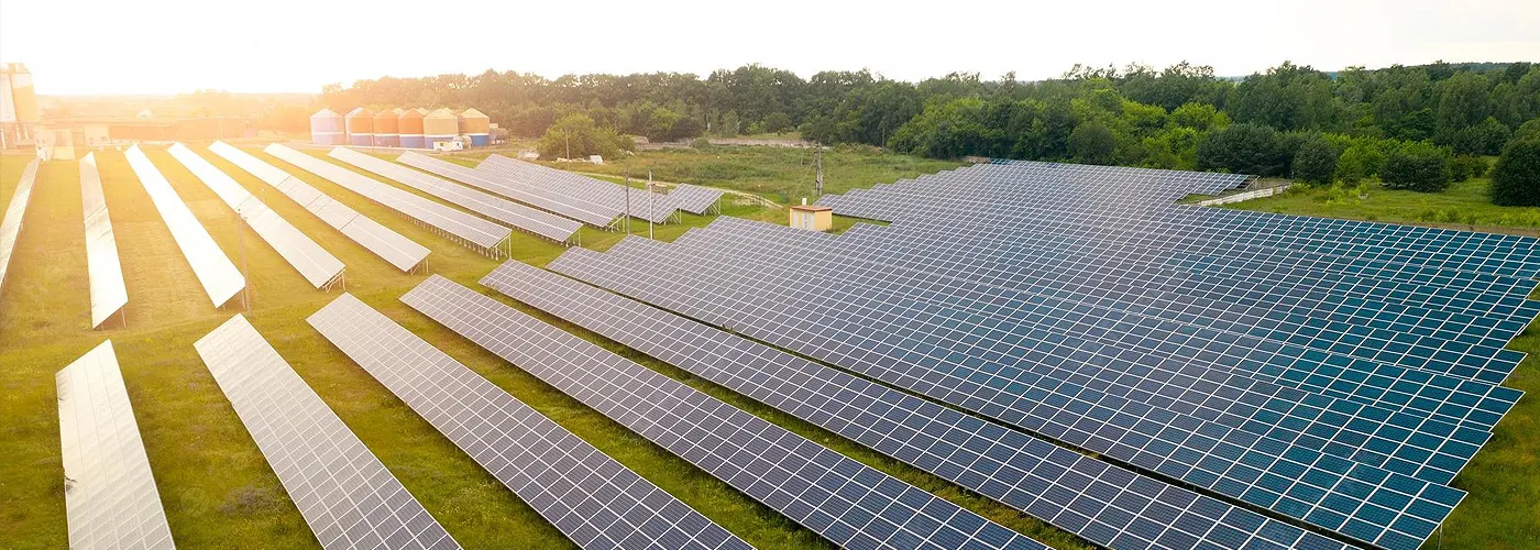 Sawdust Covered Solar Panels