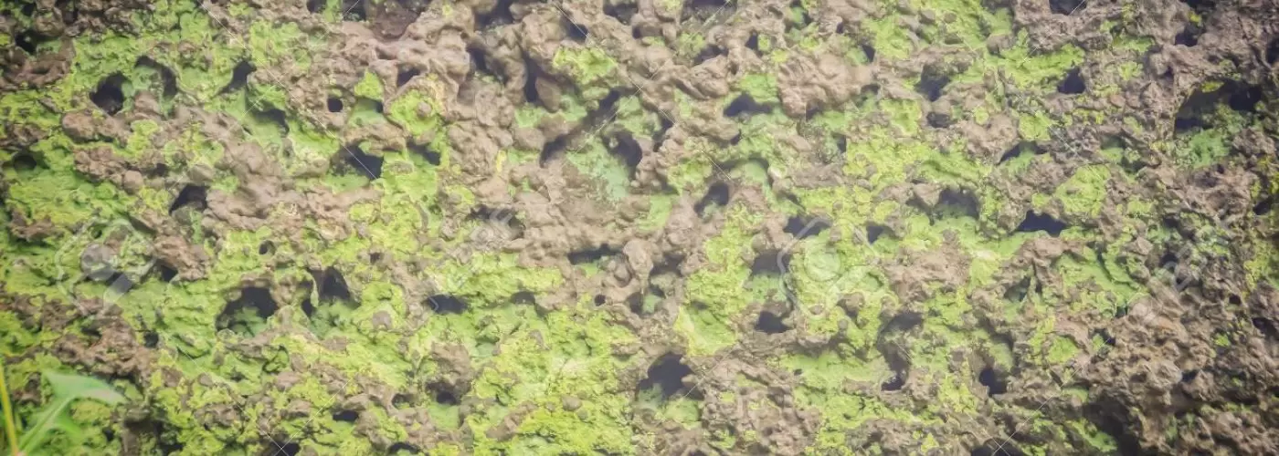 Summer Time Heat Equals Green Surfaces