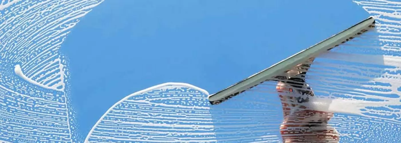 The Art of Cleaning Windows