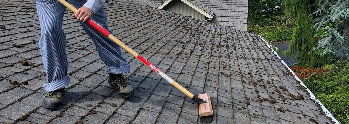 The Story Of Rebecca And Her Roof Cleaning Service