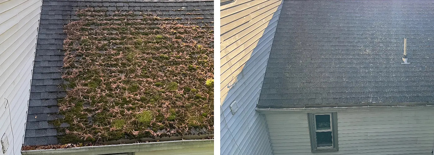 This Is the Best Time to Clean Your Roof in Sudbury, MA