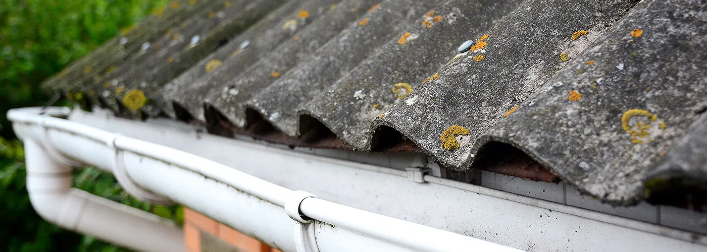 Treating Your Roof Right