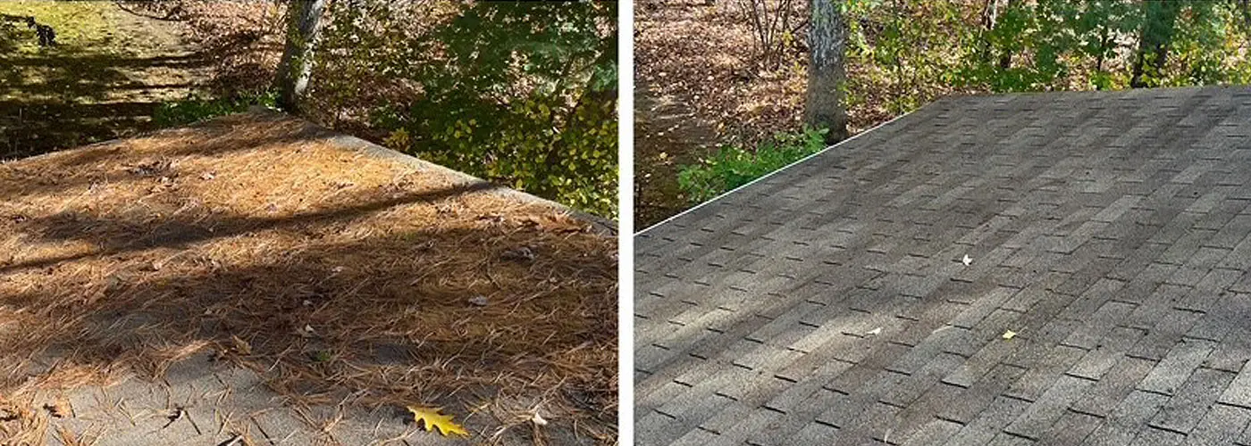 The Ultimate Guide to Roof Soft Washing in Wellesley, MA: Mark M.’s Success Story