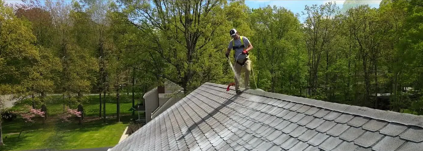 We Can Help Save Your Roof’s Life!
