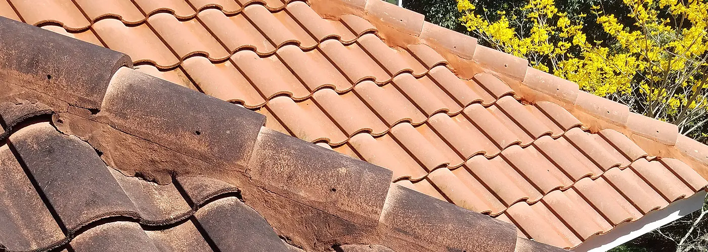 What Do You Know About Roofs?