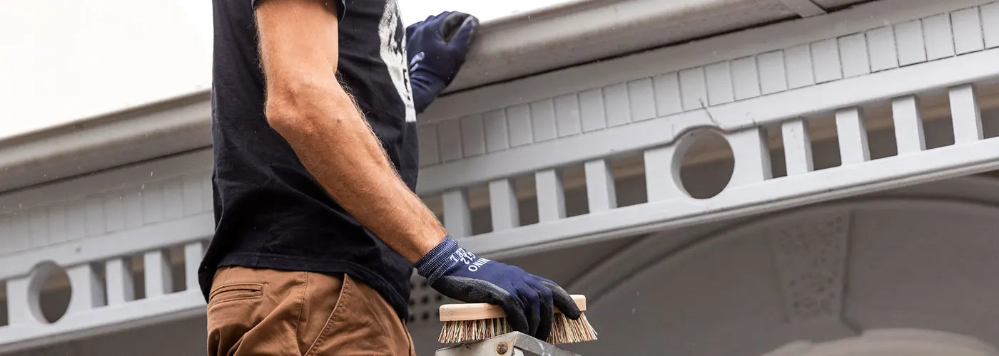 Who Needs Gutter Cleaning Anyway?