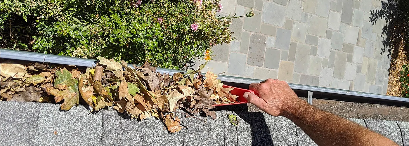 Who Should Schedule Gutter Cleaning Service? Everyone!