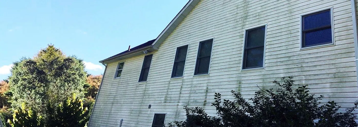 Zoom zoom spring in Wilmington MA