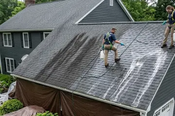 Eco-friendly detergents vs. harsh chemicals in roof cleaning