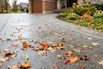 How to prevent leaf tannin stains on driveways and walkways before winter