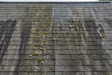 How to safely clean black streaks off your asphalt shingles