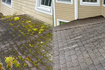 Is Your Insurance Company Making You Clean Your Roof?