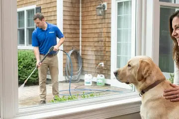 Pet-friendly pressure washing: Keeping your dogs and cats safe during service
