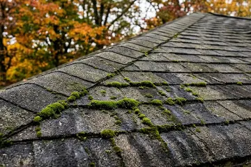 Roof cleaning or roof replacement? How to tell before winter