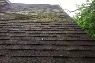 Roof washing in Hamilton, MA was inevitable