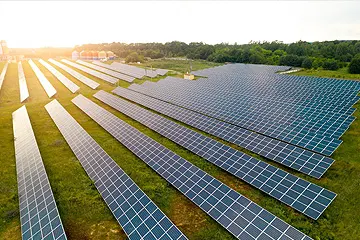 Sawdust Covered Solar Panels