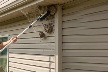 Spider webs and insect nests: How house washing keeps pests away