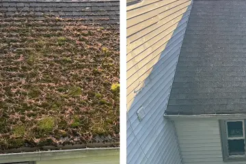 This Is the Best Time to Clean Your Roof in Sudbury, MA