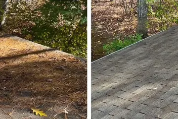 The Ultimate Guide to Roof Soft Washing in Wellesley, MA: Mark M.’s Success Story