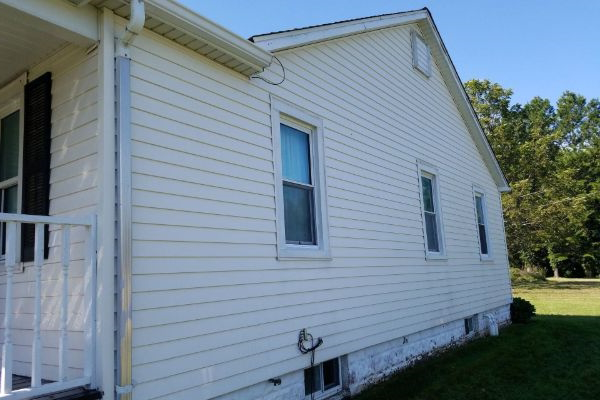 Exterior Mold removal - after 