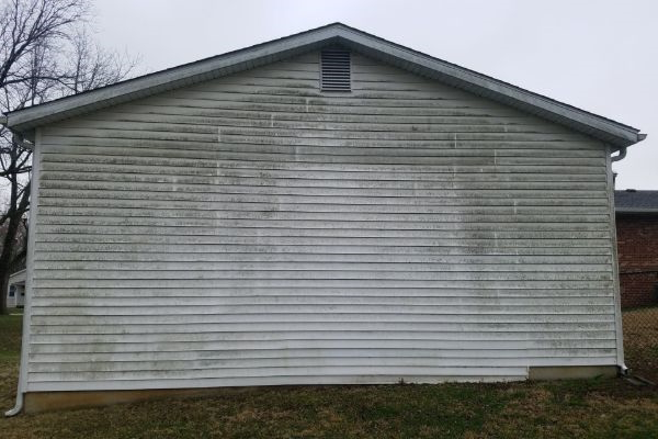 Exterior Mold removal - before 