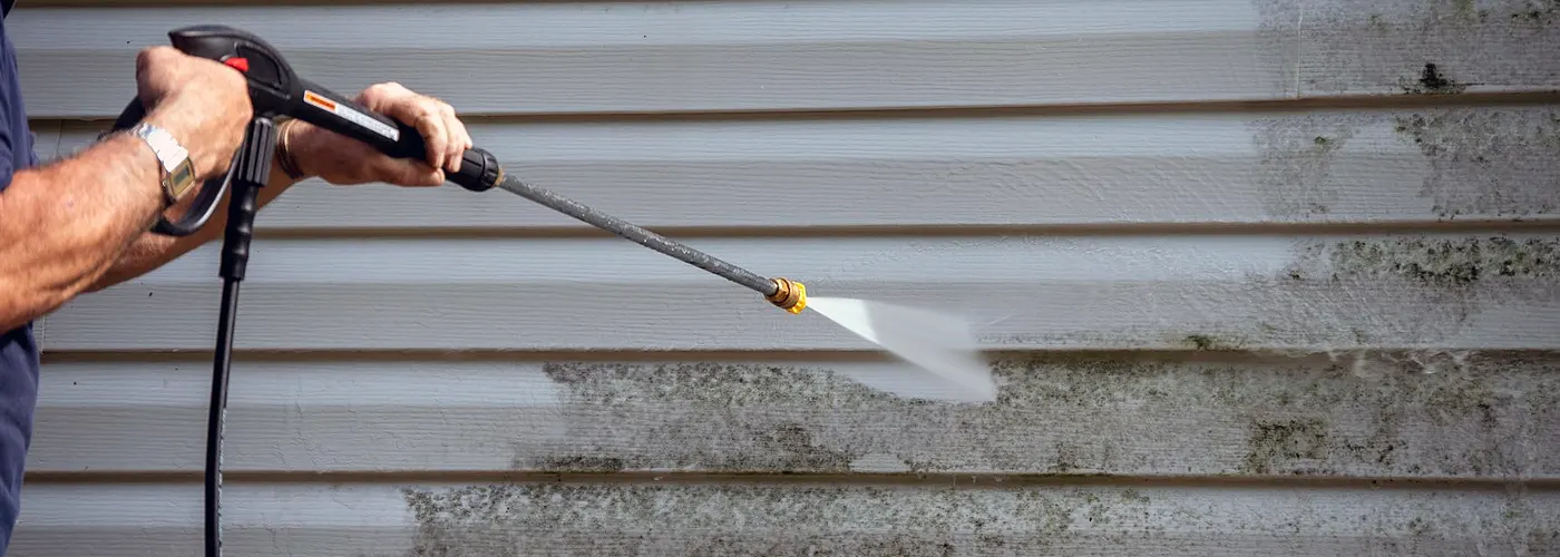 Exterior Mold removal