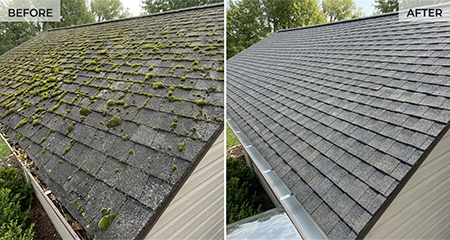 Roof Cleaning