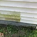 Exterior House Cleaning - photo 12