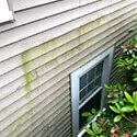 Exterior House Cleaning - photo 13