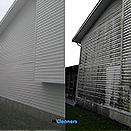 Exterior Mold removal - photo 38