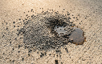 Fresh spills