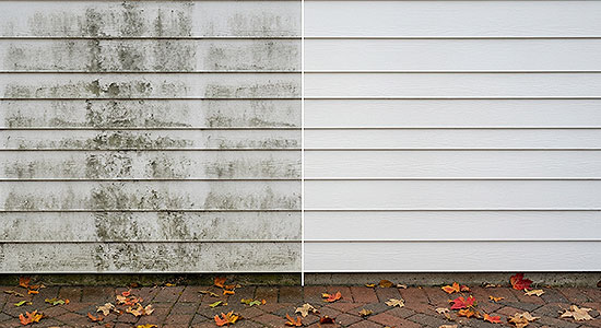 Siding and painted exterior surfaces